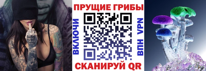Псилоцибиновые грибы прущие грибы  Тейково 